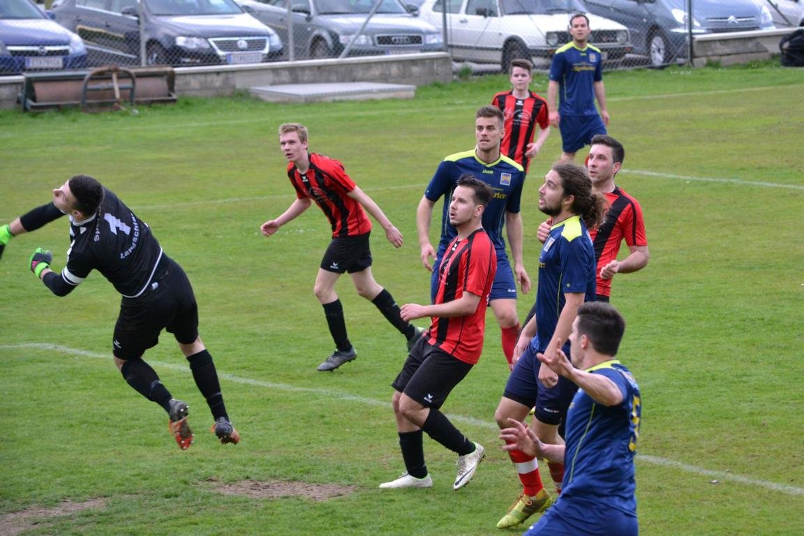 SVK-Langschlag FJ16 (17) SVK-Langschlag FJ16 (17)